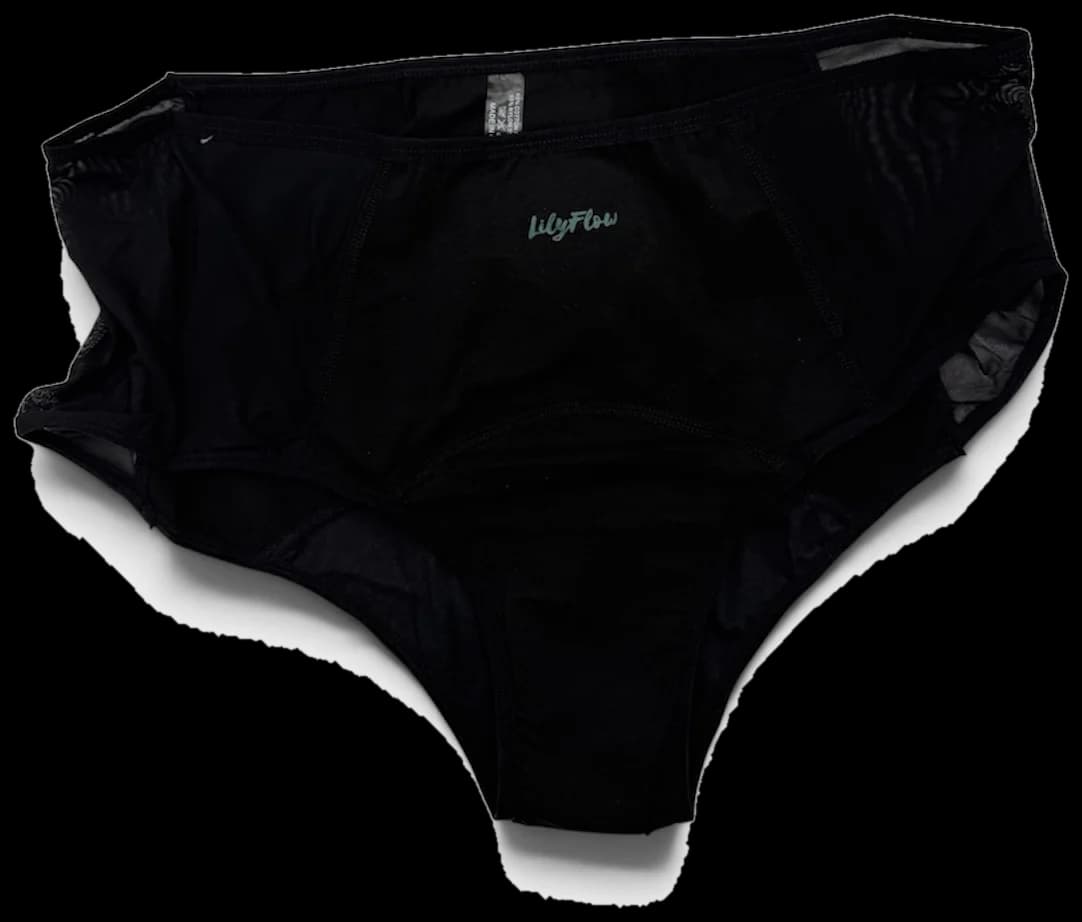 Lilyflow Comfy Period Panties