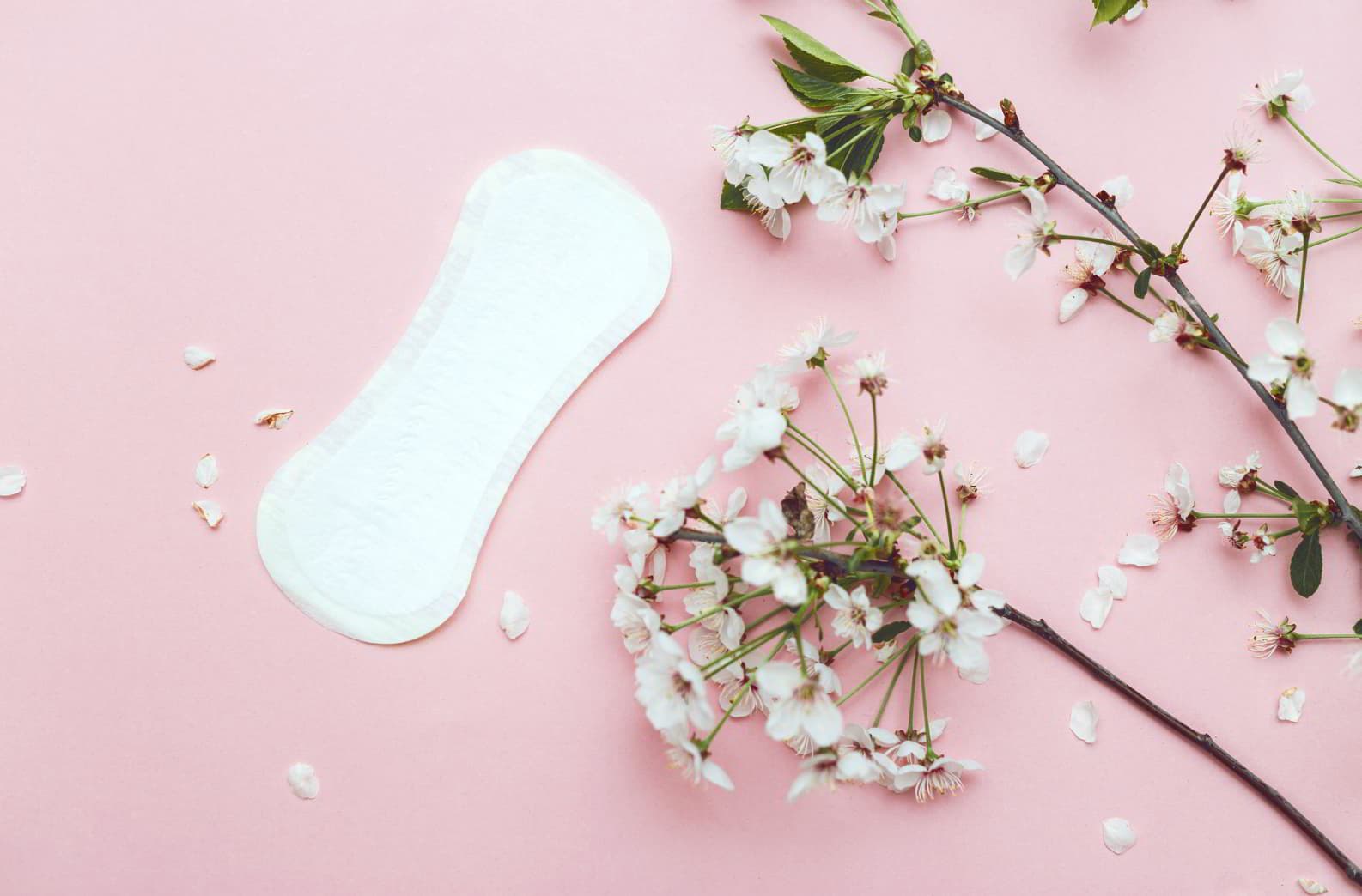 An organic cotton pad among sprigs of white blossom